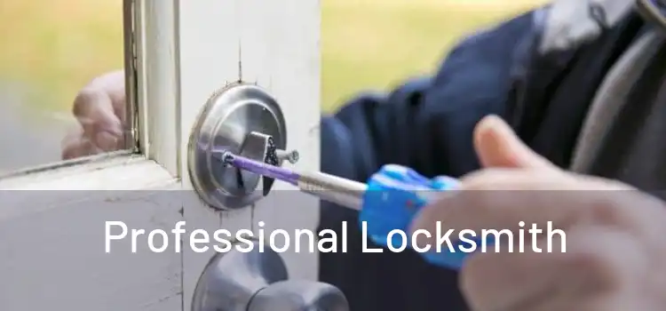  Professional Locksmith 